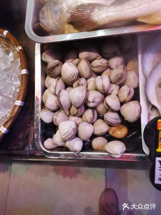 黄寺蒸汽海鲜(黄寺大街店)鸟贝图片