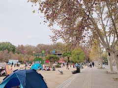 -东湖磨山景区