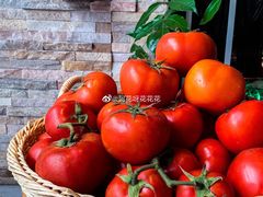 -蕃茄述·好汤自然来(江汉路店)