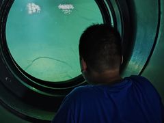 -白鹤梁水下博物馆