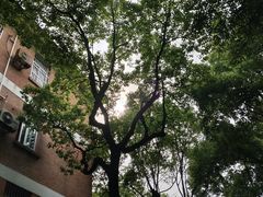 -上海外国语大学(虹口校区)
