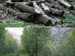 -百里山水画廊