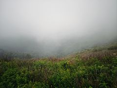 -驼梁风景区