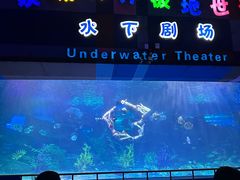 -泉城欧乐堡海洋极地世界