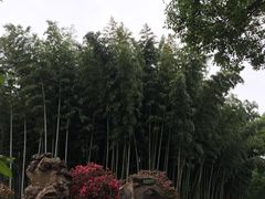 -荆川公园