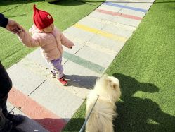 -萌宠亲子动物乐园(槐房万达店)