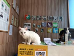 -瑞鹏宠物医院·内科·中兽医·骨科(苗圃店)