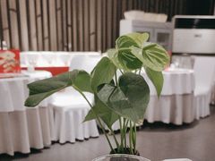 -眉州东坡(通州店)