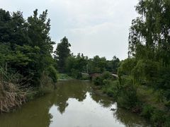 -白鹭湾湿地公园