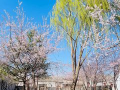 -三里河公园