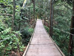 -罗田薄刀峰风景区