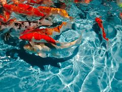 -常州海昌海洋探索馆