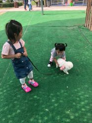 -萌宠亲子动物乐园(槐房万达店)