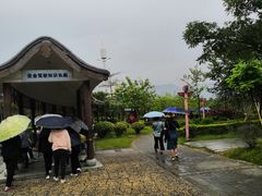 -飞来湖湿地公园
