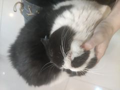 -平行世界·猫咖(首经贸店)