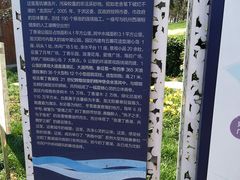 -丁香湖公园