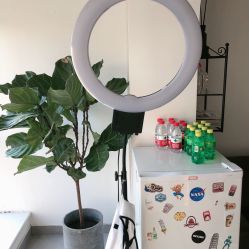 -净漪造型 PURE RIPPLE