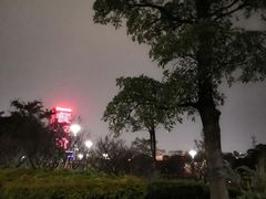 -光明港公园