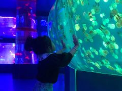 -左海海底世界