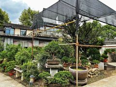 -万景茶庄·台州菜