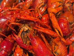 瞿记卤虾-聚味瞿记·龙虾堂(坡子街店)