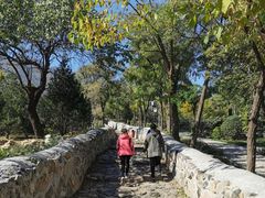 -阳台山自然风景区