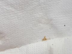 -疏芬山金矿