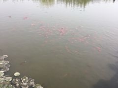 -前关湿地公园
