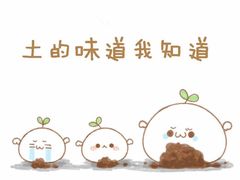-袁家村关中印象体验地(大唐不夜城店)