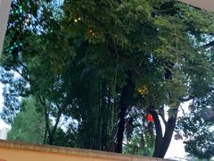 -醉二娘正宗西昌火盆烧烤(大丰店)