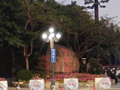 -野狸岛