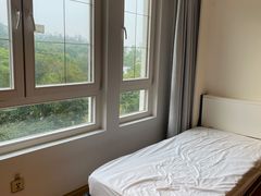 -深圳东部华侨城茵特拉根酒店