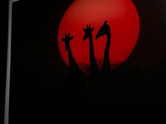 -罗红摄影艺术馆