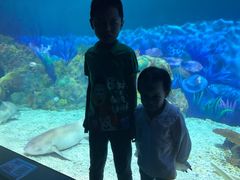 景点-上海海昌海洋公园