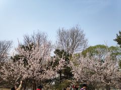 -蛮横肉蟹煲(印象城店)