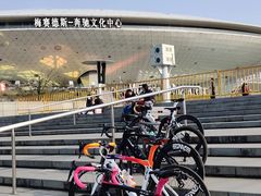 -上海魅力单车cannondale