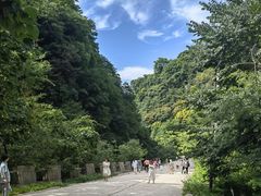 -西安祥峪森林公园