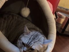-H立方实景剧情密室(天河旗舰店)