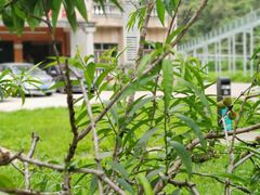 -黄金沟旅游风景区