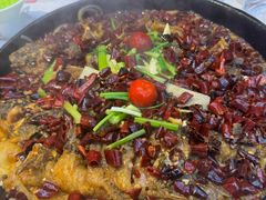 -老板恋上鱼(恒隆广场店)