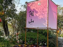 -桃花岛景观公园