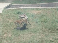 -石家庄市动物园