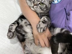 -菲尔斯特宠物医院