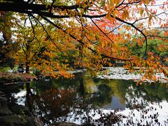 -北海道厅旧本厅舍(旧本庁舎)