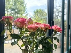 -Laures·月桂西班牙碳烤餐厅(十尚坊店)