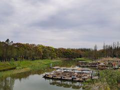 -上海长兴岛郊野公园