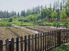 -前小桔亲子创意农场·草莓采摘·露营烧烤