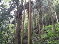 -东天目山风景区