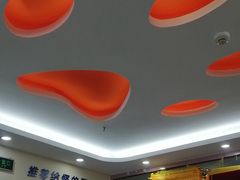 -全心全意连锁动物医院·微创中心·内科急重症·心脏专科(丰管路店)