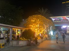 -布吉佳兆业广场